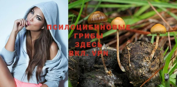 героин Арсеньев