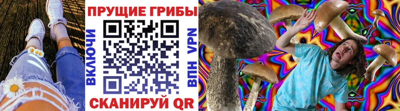 где можно купить   Бабушкин  Галлюциногенные грибы прущие грибы 